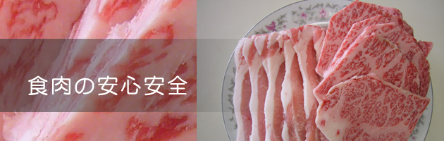 �H���̈��S���S